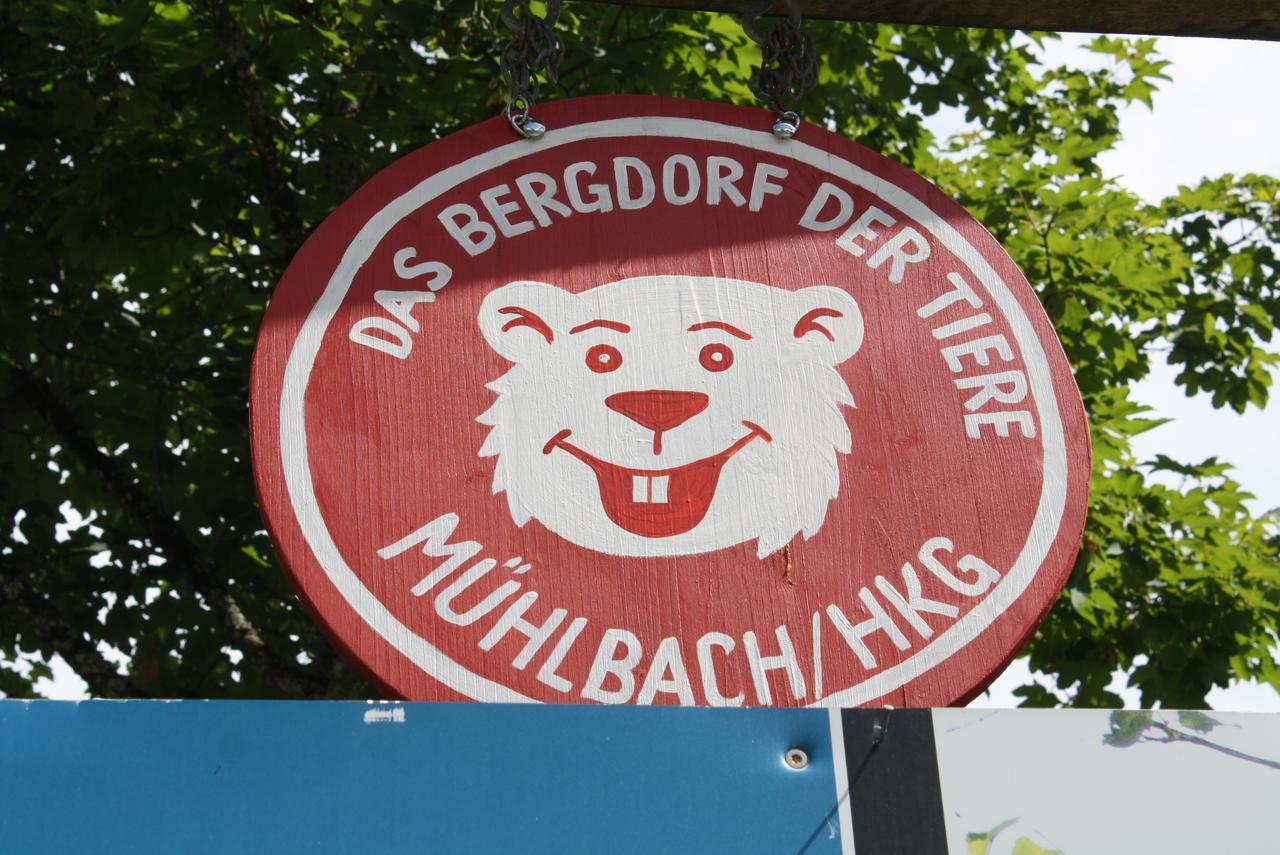 شقة Muehlbach Alpendomizil II Mühlbach am Hochkönig المظهر الخارجي الصورة
